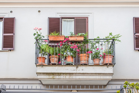 Wie Pflanzen auf dem Balkon und Terrasse im Herbst blühen