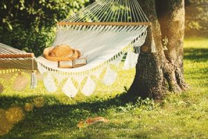 10129776 - view of hammock and book on a sunny summer day