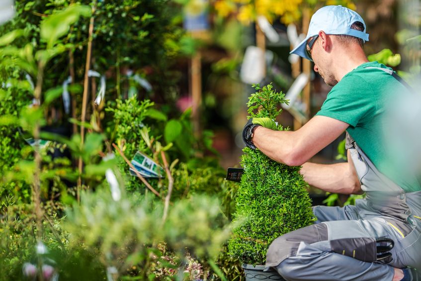 Tim Smit und sein Garten Eden