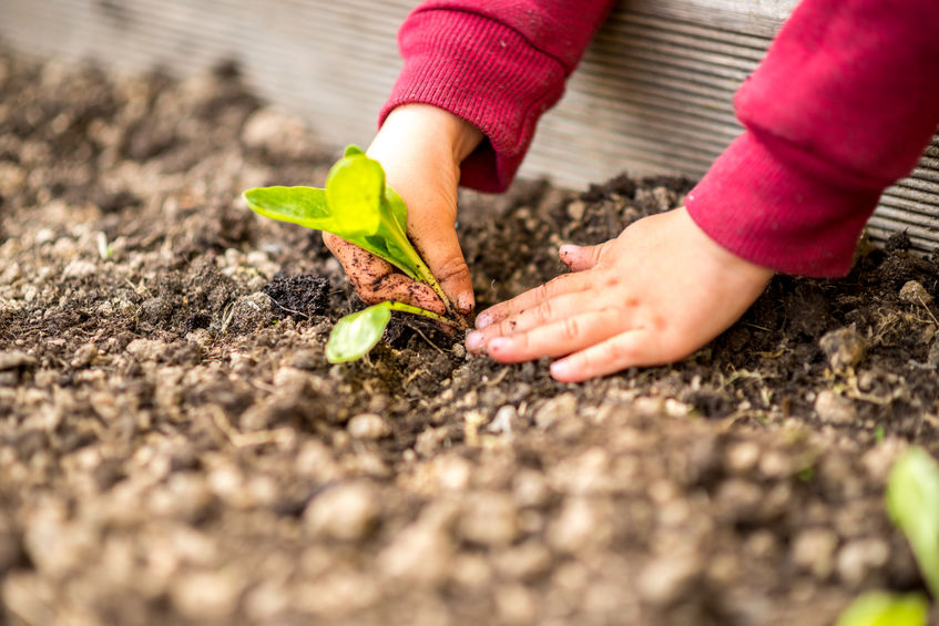 Frohes neues Jahr 2020! Gartenarbeit mit Kindern – so macht`s den Kleinsten Spaß