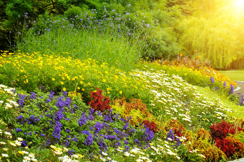 Naturnahes Gärtnern: was ist damit gemeint?