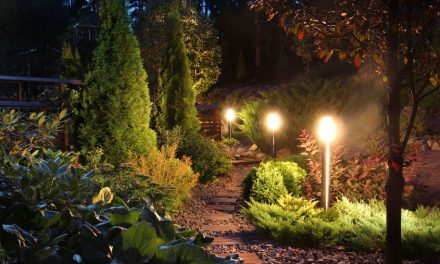 Schöne Gartenbeleuchtung für laue Sommernächte