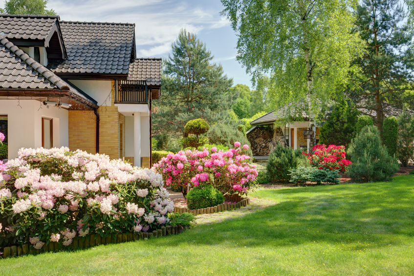 Was kostet ein Garten eigentlich?