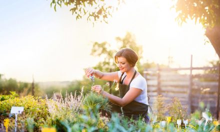 Schnittblumen im Garten anbauen