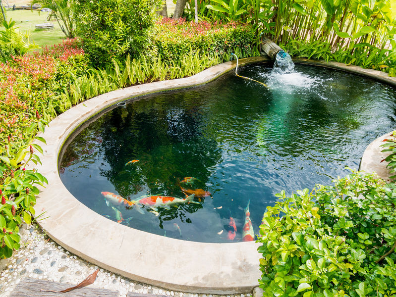 Schwimmteich – Das natürliche Badeparadies im eigenen Garten