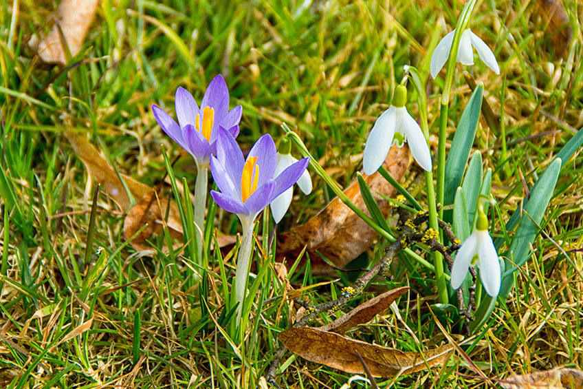 März! Offizieller Start in die Gartensaison. Wir freuen uns!