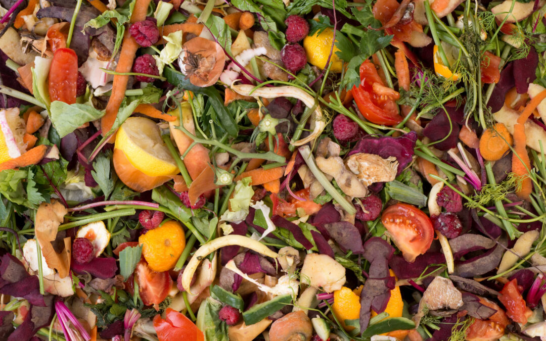 Bokashi – Dünger selbst hergestellt