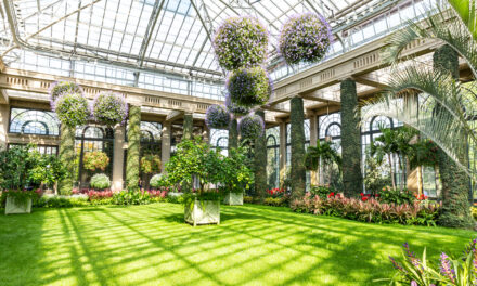 Eine Orangerie – auch für den Garten geeignet