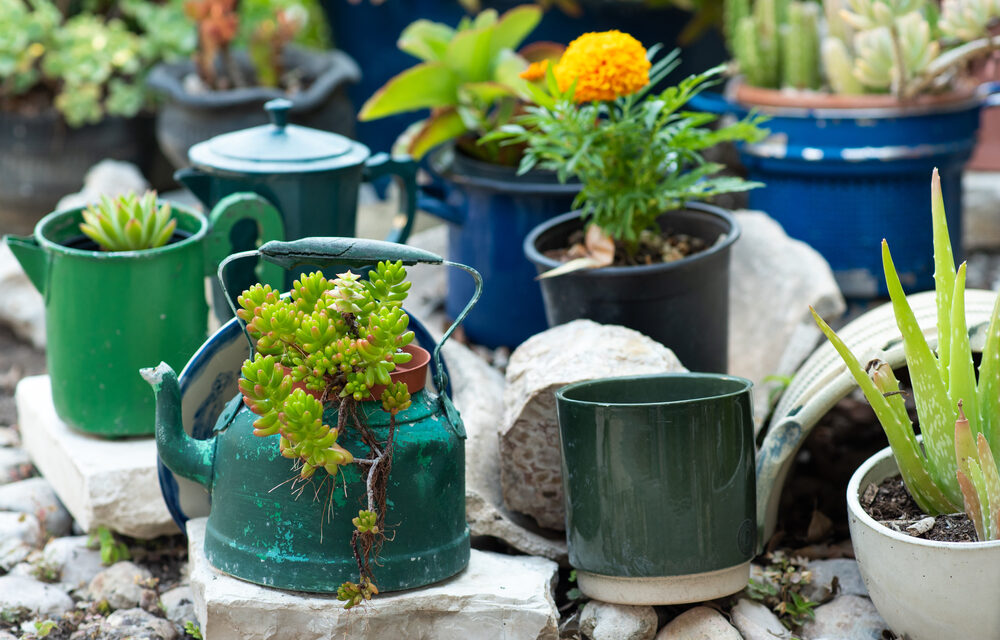 Upcycling im Garten liegt im Trend