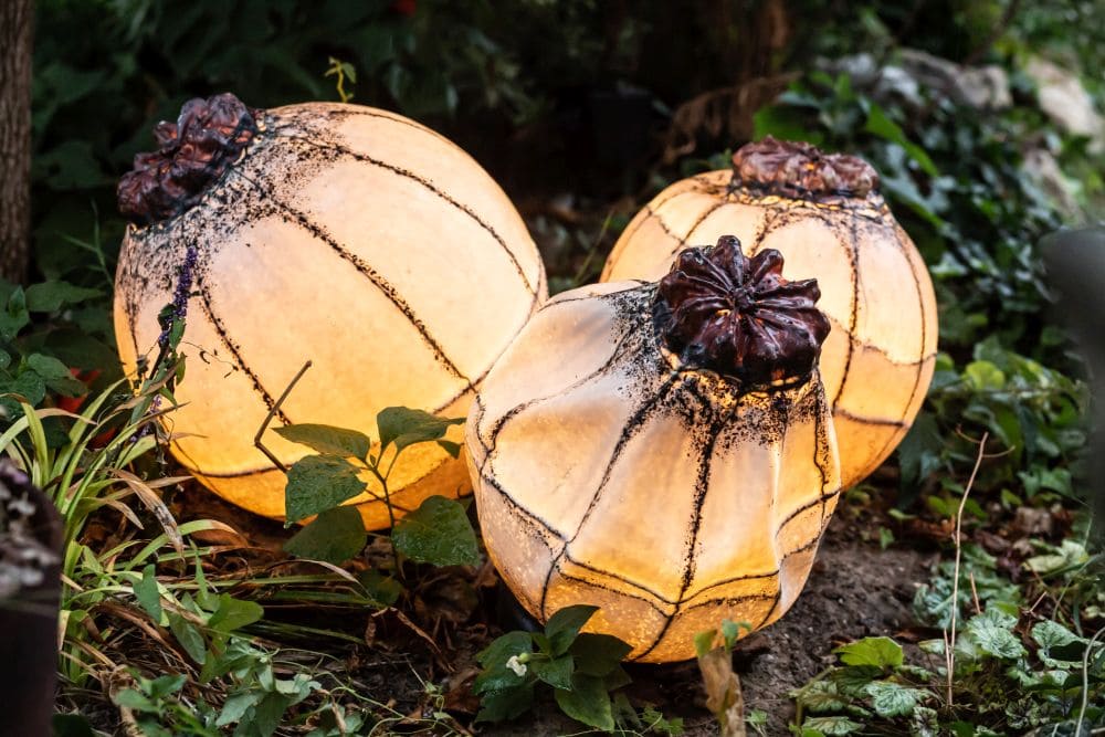 Gartenträume – Zwölf Fragen an Kunst-Schaffende. Heute mit: Ines Segger